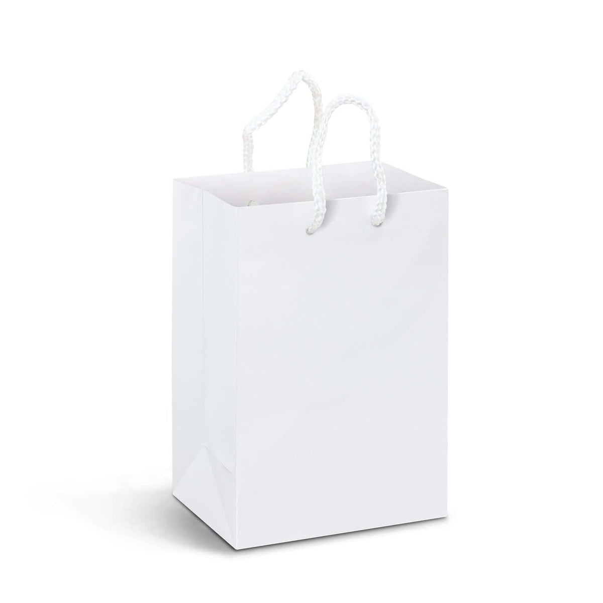 Small Laminated Paper Carry Bag - Full Colour Corporate Gift Singapore