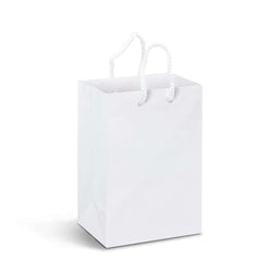 Small Laminated Paper Carry Bag - Full Colour Corporate Gift Singapore