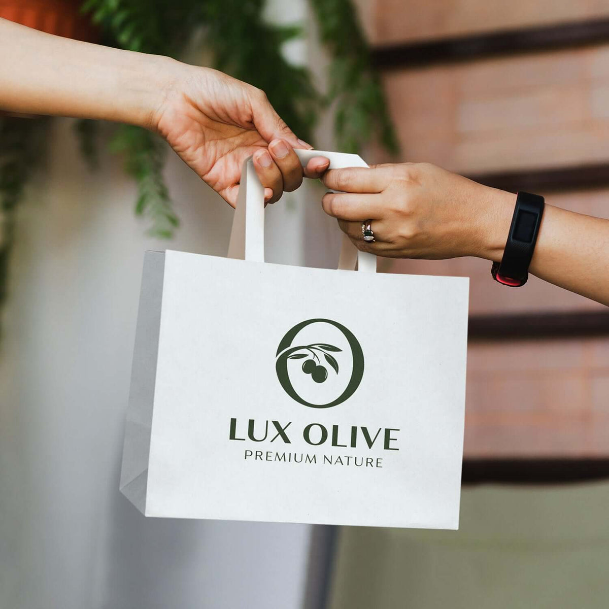 Medium Flat Handle Paper Bag Landscape Corporate Gift Singapore