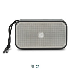 Swiss Peak 10W Bass Speaker