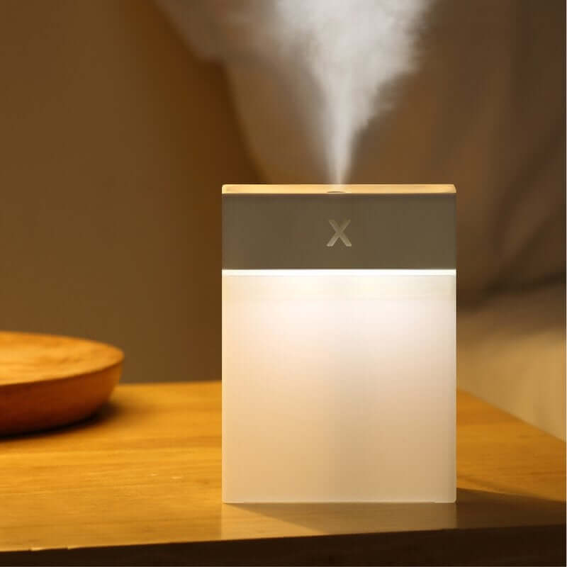 280ml Mini Humidifier with Night Light Corporate Gifts Singapore
