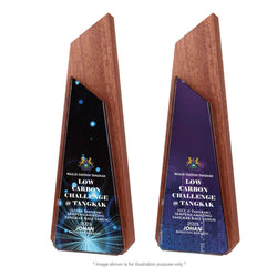 Crystal Award CY 440 Corporate Gifts Singapore