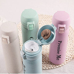 Eco Friendly Wheat Straw Stainless Steel Bottle Corporate Gifts Singapore