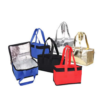 Non Woven Cooler Bag Corporate Gifts Singapore