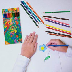 BIC Kid Evolution Colouring 12pcs set Corporate Gift Singapore