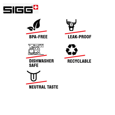 SIGG Dream 0.65L Glass Water Bottle Corporate Gifts Singapore