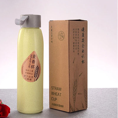 Wheat Straw Eco Glass Bottle Corporate Gifts Singapore