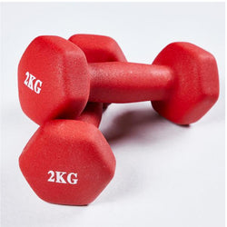 Neoprene Mini 2kg Dumb Bell Corporate Gifts Singapore
