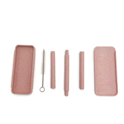 Recycle Drink Straw with Cleaning Brush Corporate Gifts Singapore