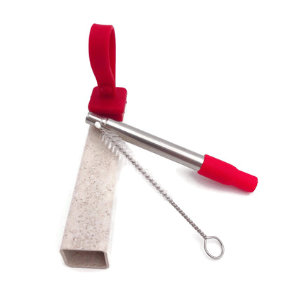 Portable Metal Straw in Eco-Friendly Wheat Straw Casing Corporate Gifts Singapore