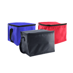 Trendy Insulated Cooler Bag Corporate Gifts Singapore