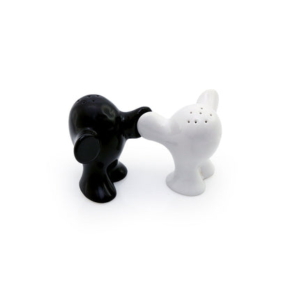 Salt & Pepper Set Corporate Gifts Singapore