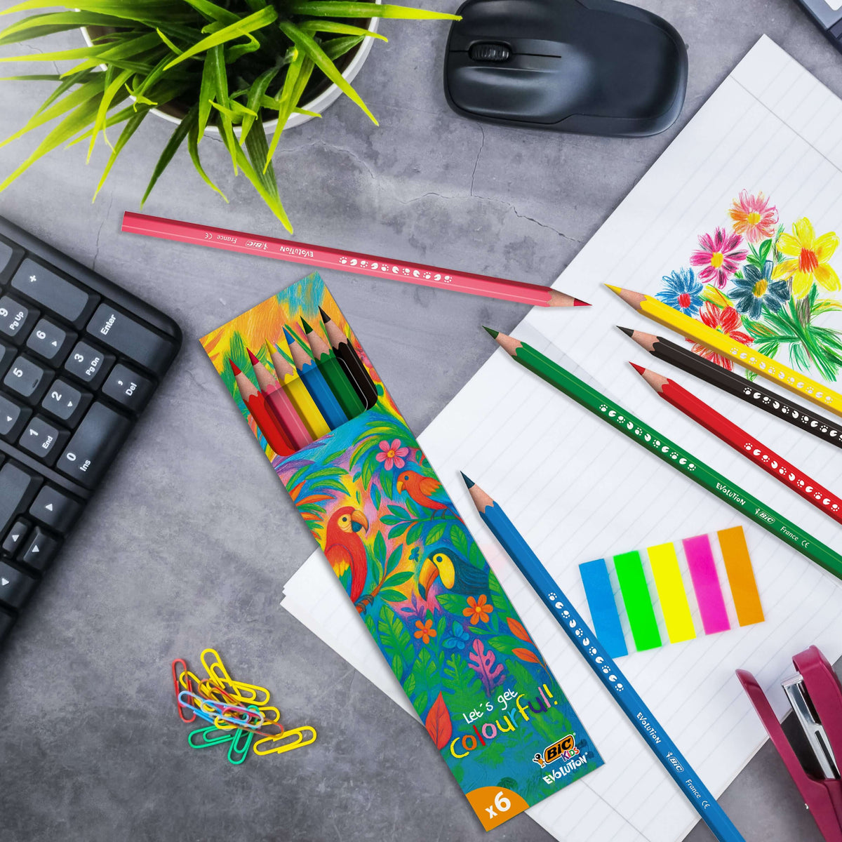 BIC Kid Evolution®Colouring 6pcs set Corporate Gift Singapore