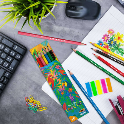 BIC Kid Evolution®Colouring 6pcs set Corporate Gift Singapore