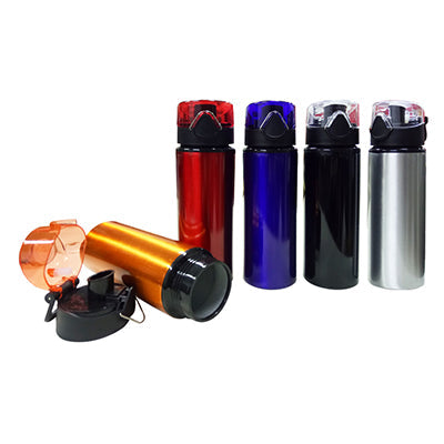Stainless Steel Bottle with Push Lock Cap Corporate Gifts Singapore