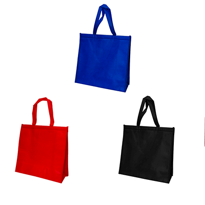 NonWoven Cooler Bag Corporate Gifts Singapore