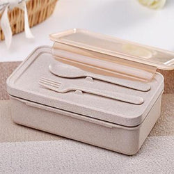 Eco Friendly Wheat Straw Lunch Box with Cutlery Corporate Gifts Singapore